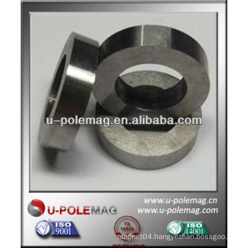 Ring Cast AlNiCo Magnet for Speaker